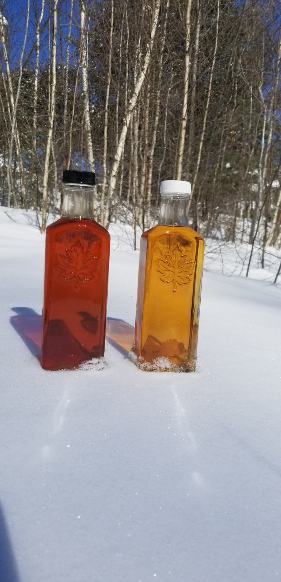 Maple Syrup Color 